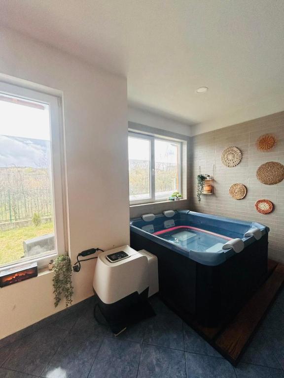 Indoor jacuzzi with mountain view