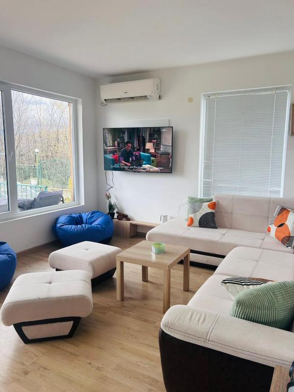 Living room with sofa and TV