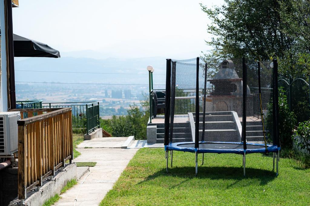 Garden and trampoline